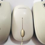 Mouse Brande White