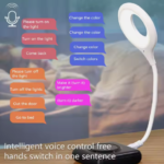 Voice Control Light