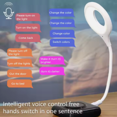 Voice Control Light